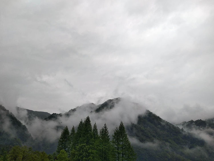 shanjing.jpg shanjing.jpg