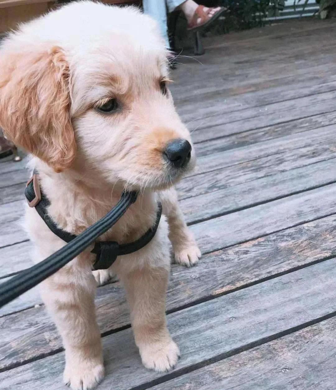 微信圖片_20210308104942.jpg 微信圖片_20210308104942.jpg