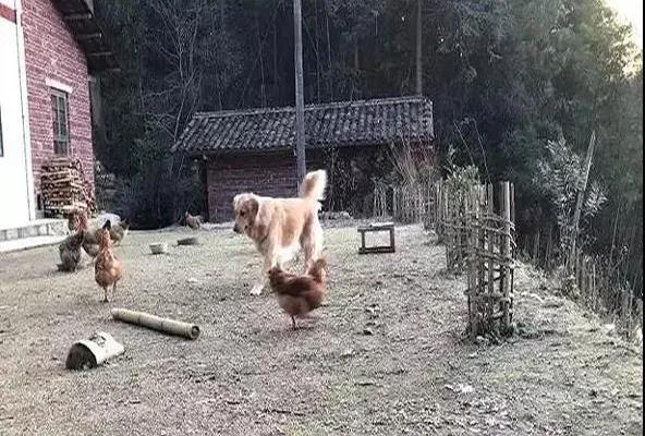 微信圖片_20210308104957.jpg 微信圖片_20210308104957.jpg