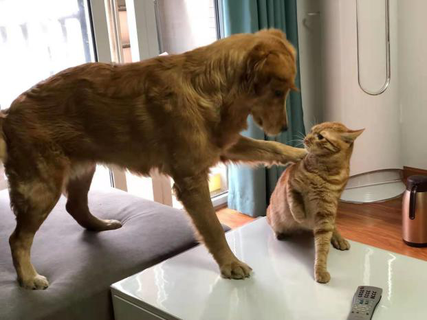 微信圖片_20210308105010.png 微信圖片_20210308105010.png