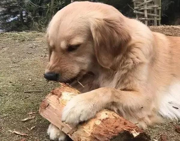 微信圖片_20210308105020.jpg 微信圖片_20210308105020.jpg