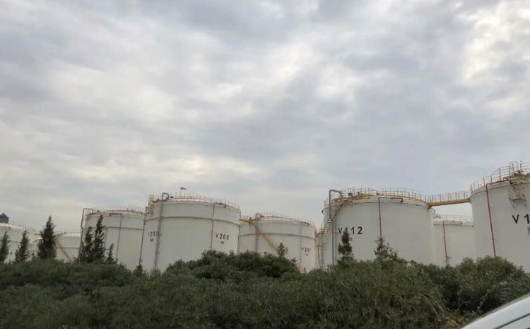 拜訪時所攝.jpg 拜訪時所攝.jpg