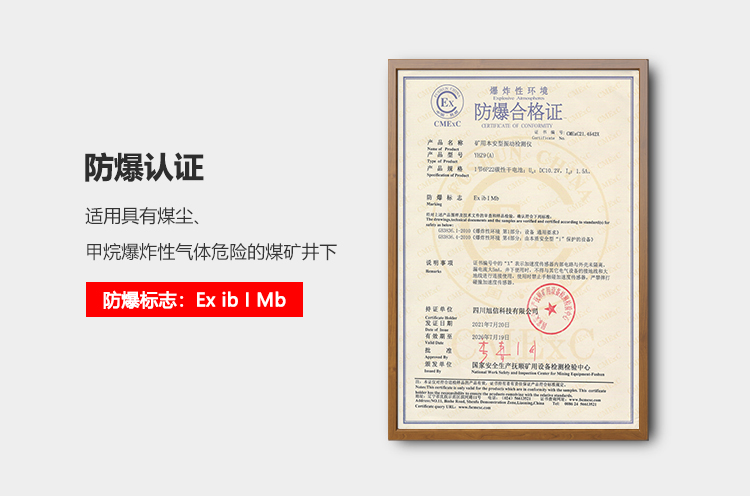 YHZ9礦用本安型振動(dòng)檢測儀_02.png YHZ9礦用本安型振動(dòng)檢測儀_02.png